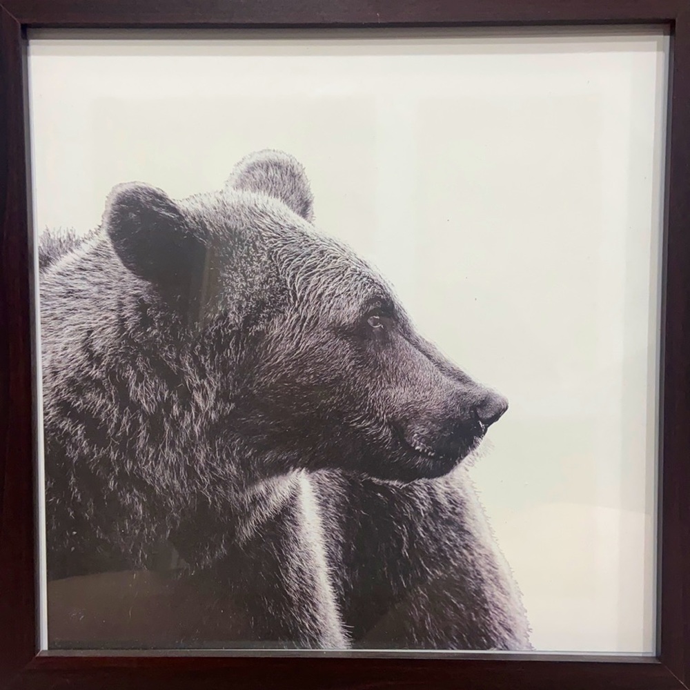 Bear print from Indigo